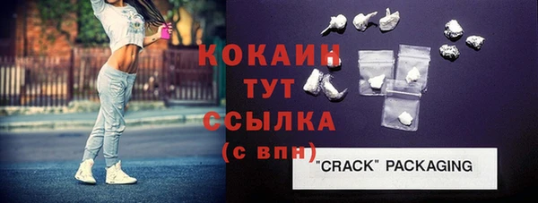 крисы Армянск