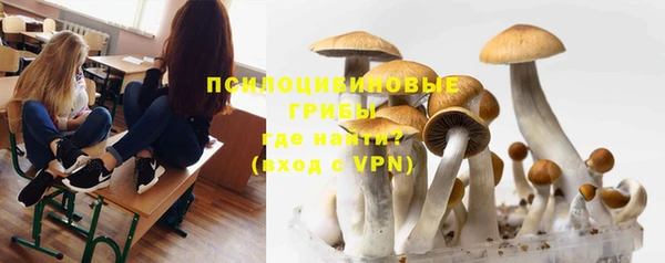 ALPHA PVP Арсеньев