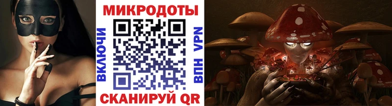 Псилоцибиновые грибы Psilocybine cubensis  Купить  Лермонтов 